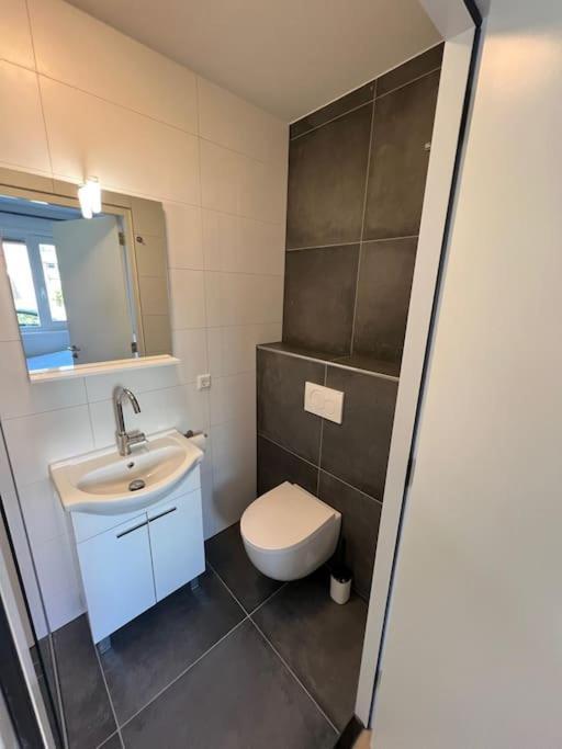 Duinroos Aan Zee Appartement